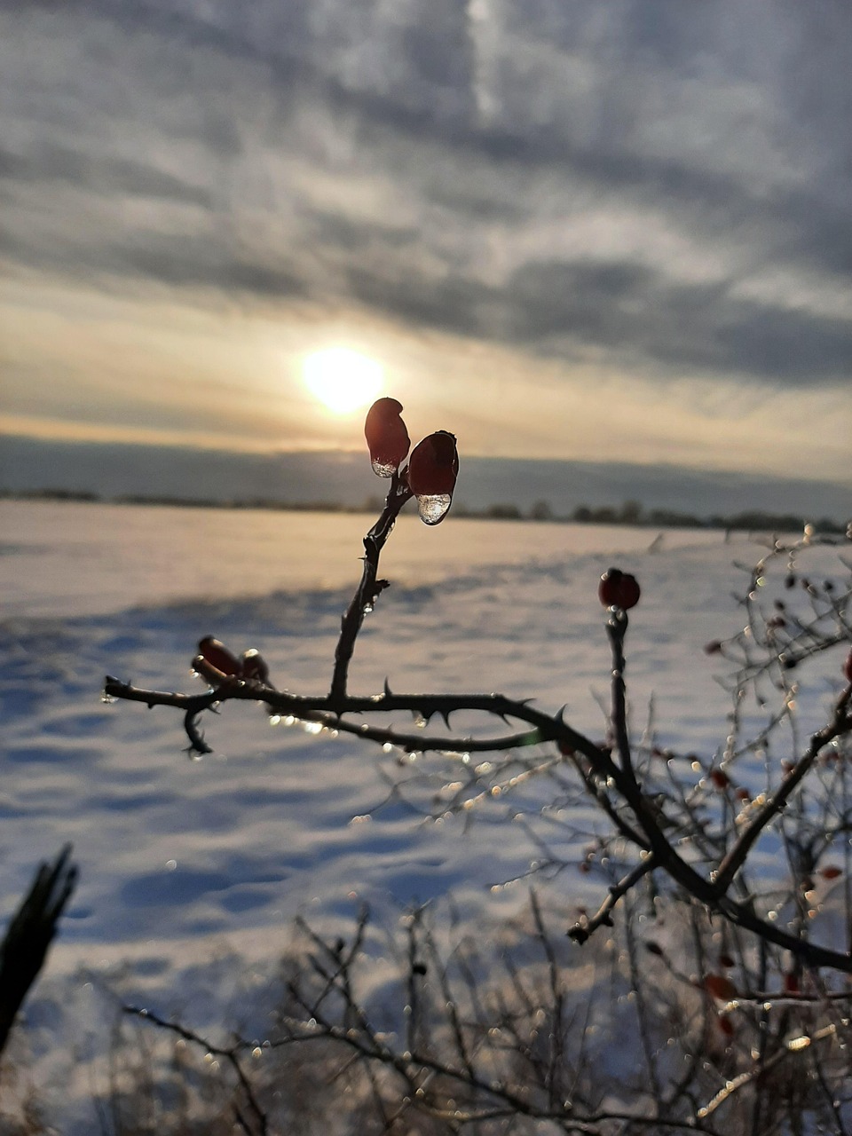 Družina Aviatiků 2. oddělení