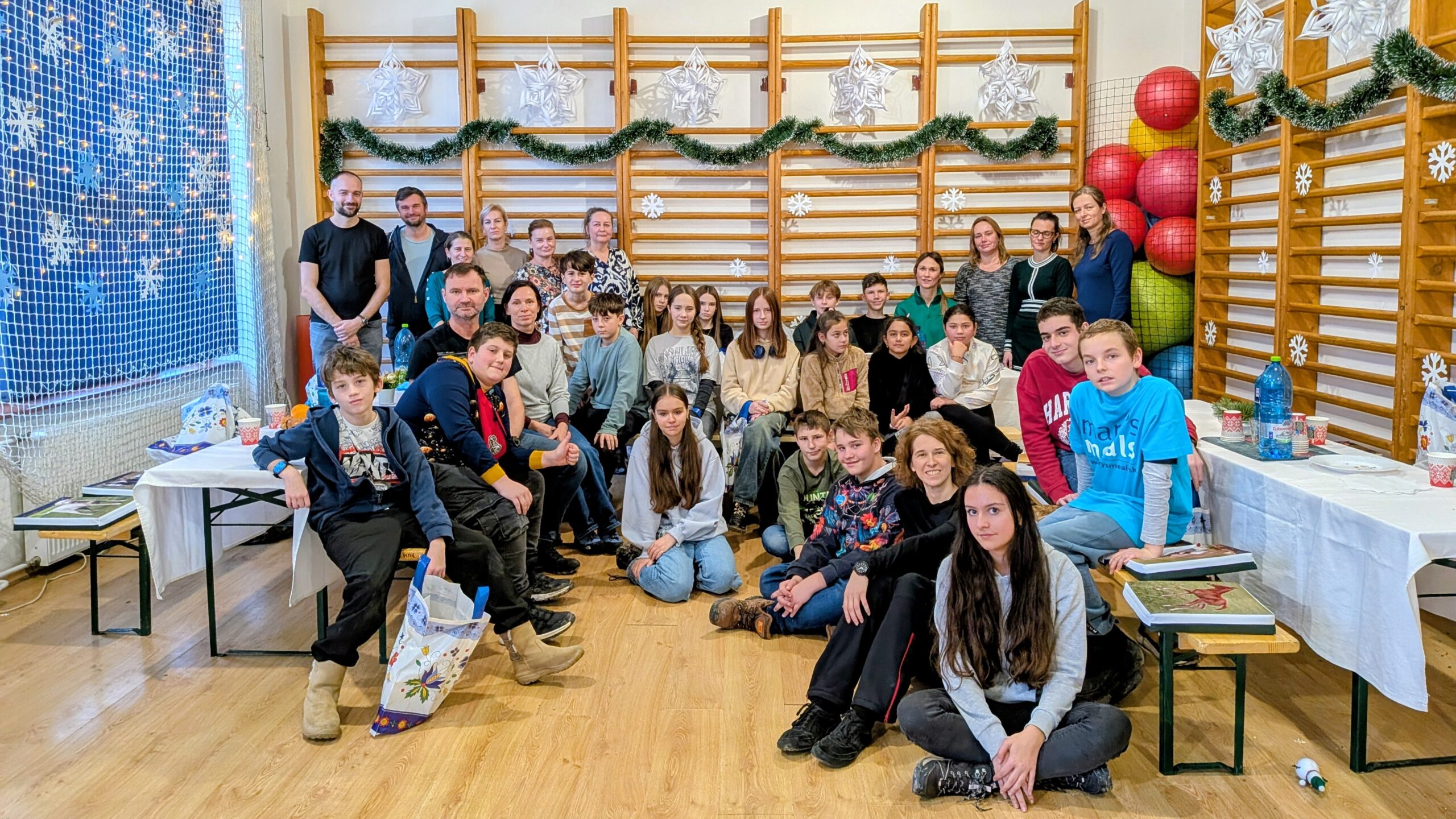 V4 Mobility Mini-Grant