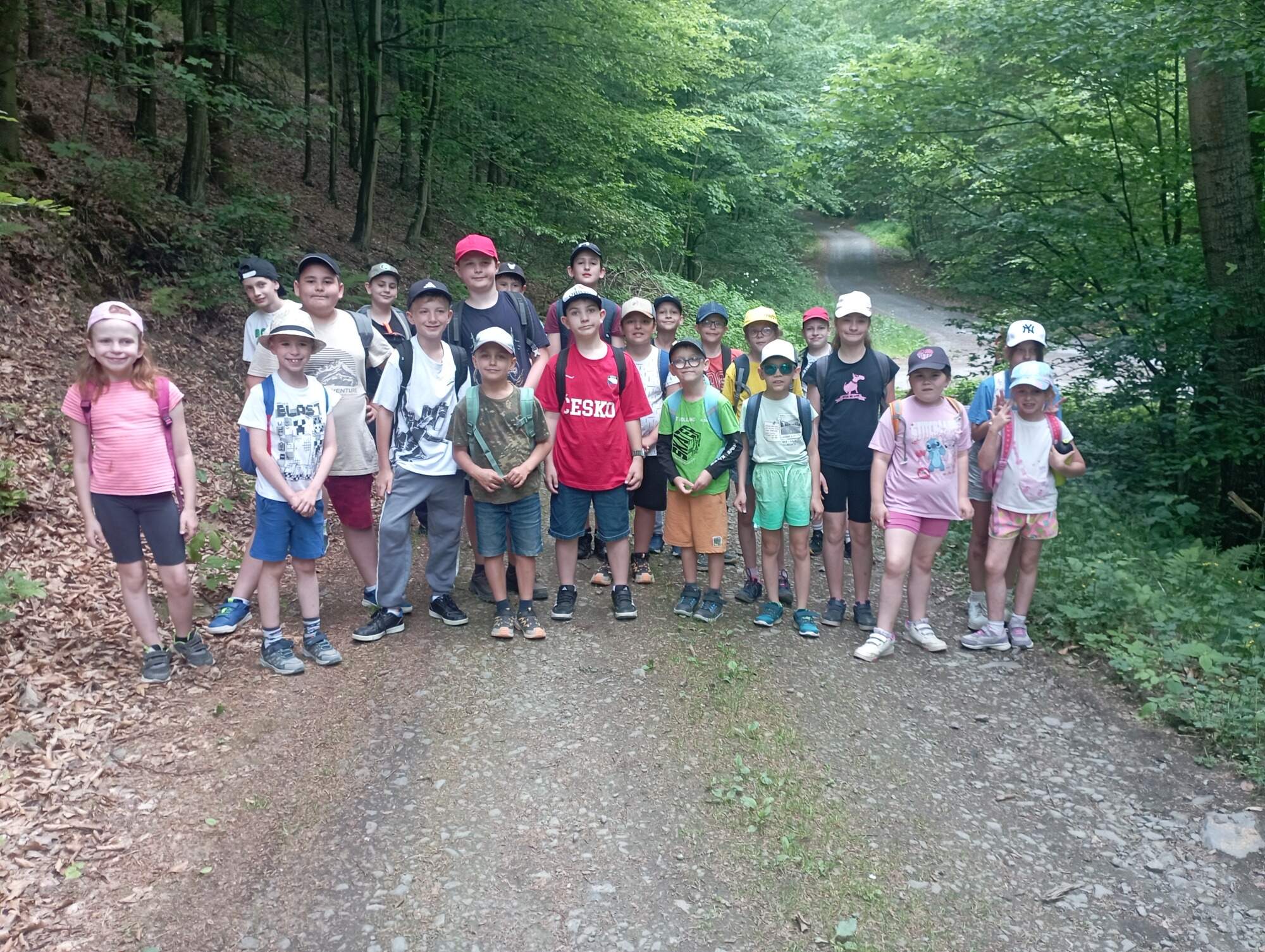 IMG_20260603_151759.jpg