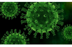 Koronavirus aktuality: Postup od 17. ledna 2022